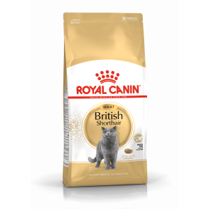 Royal Canin British Shorthair Adult