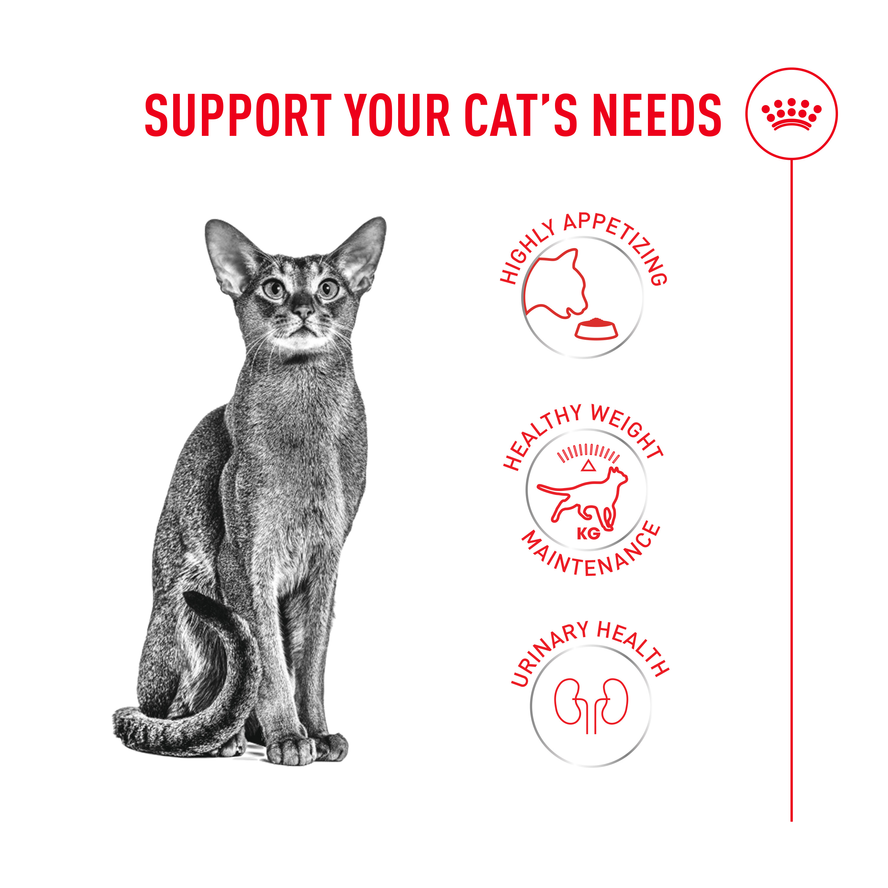 ROYAL CANIN Fussy Exigent 2