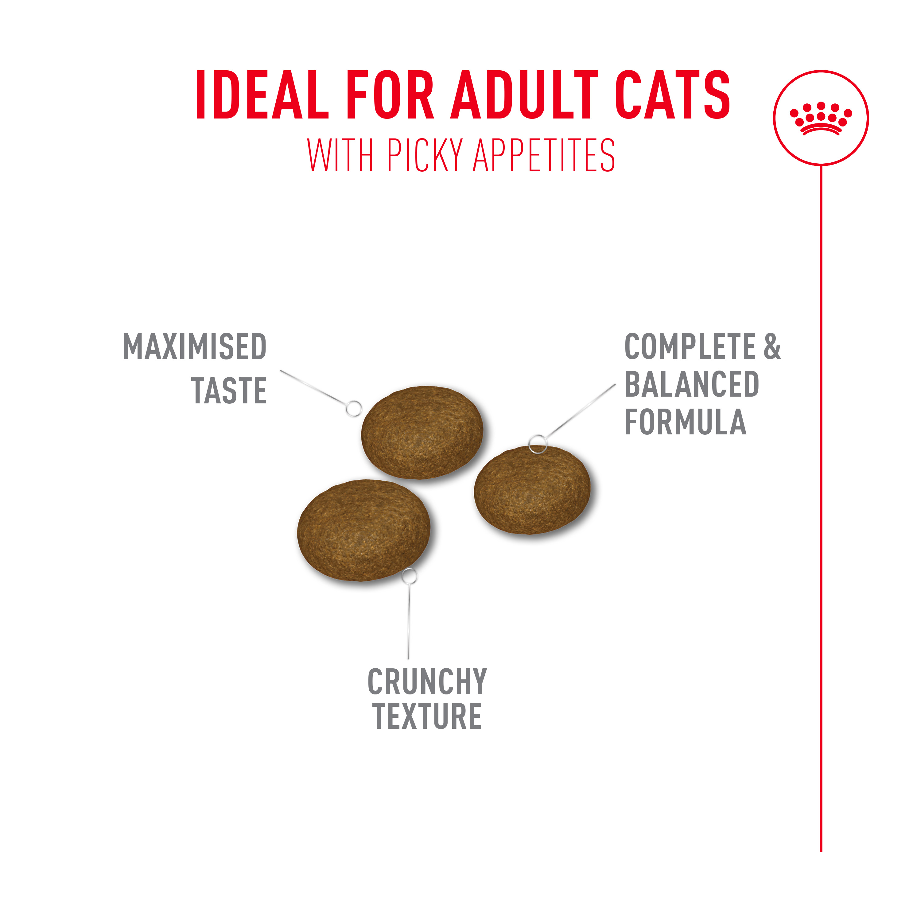 ROYAL CANIN Fussy Exigent 3