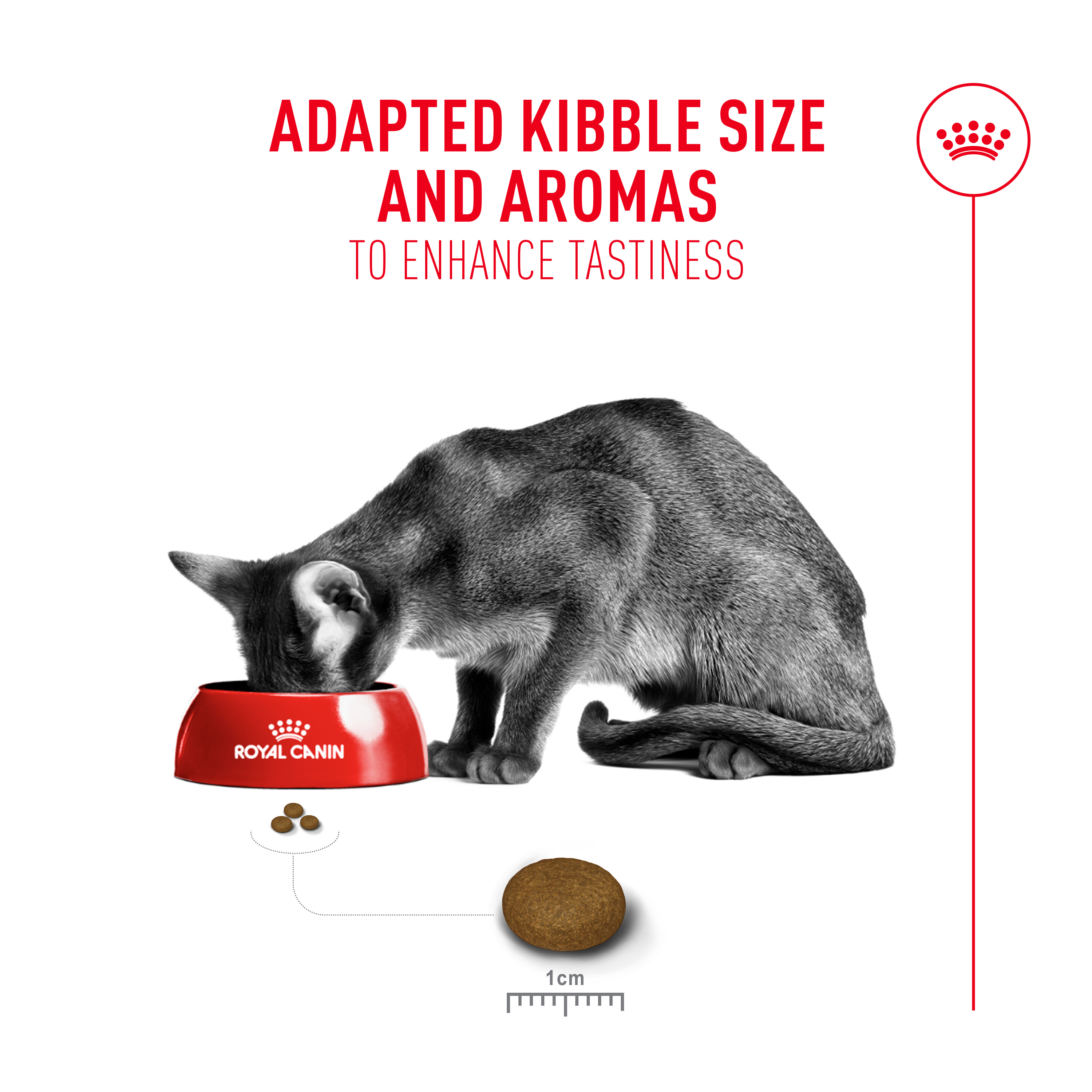 ROYAL CANIN Fussy Exigent 4