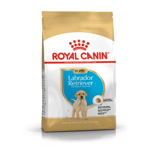 Royal Canin Labrador Retriever Puppy