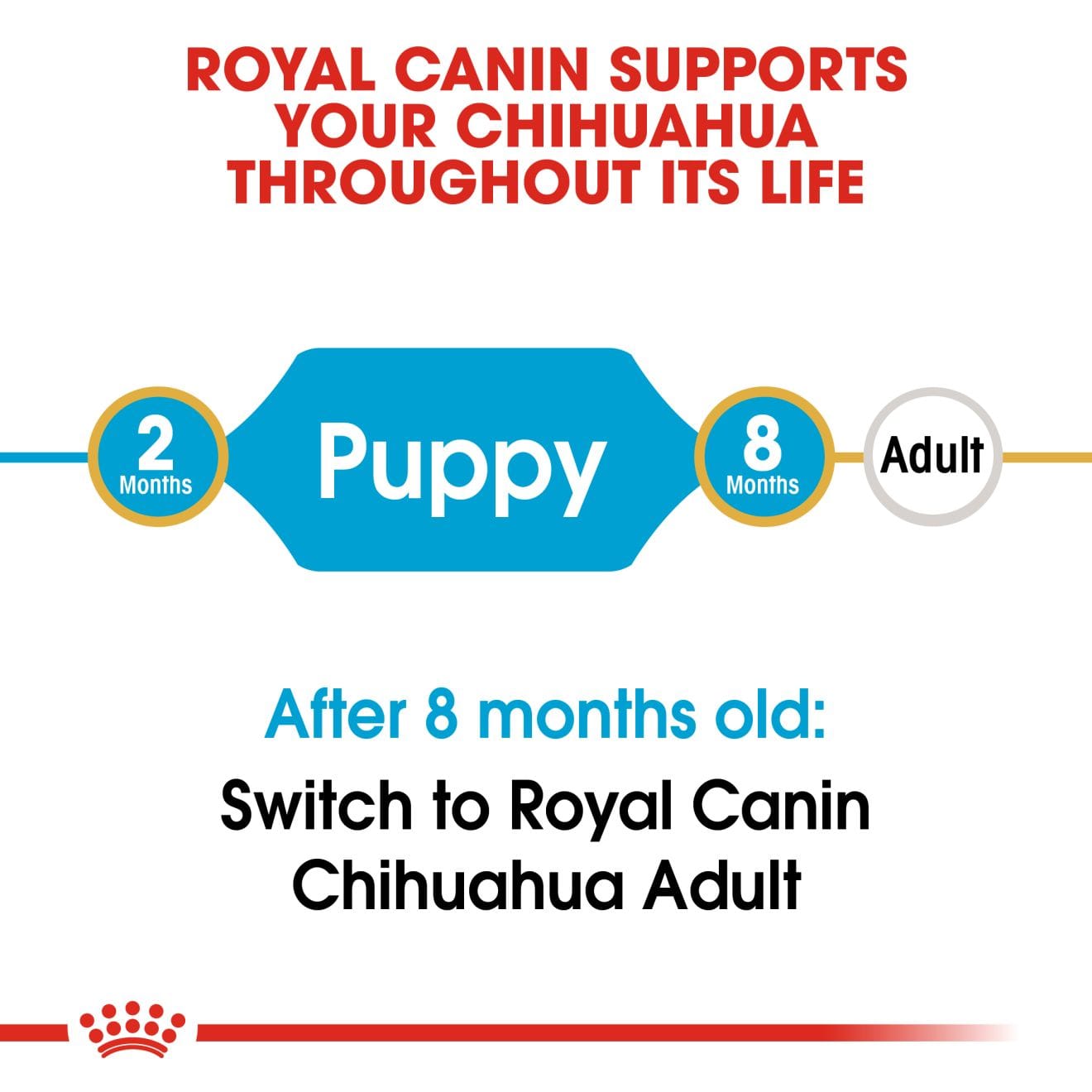 Royal Canin Chihuahua Puppy - Image 2