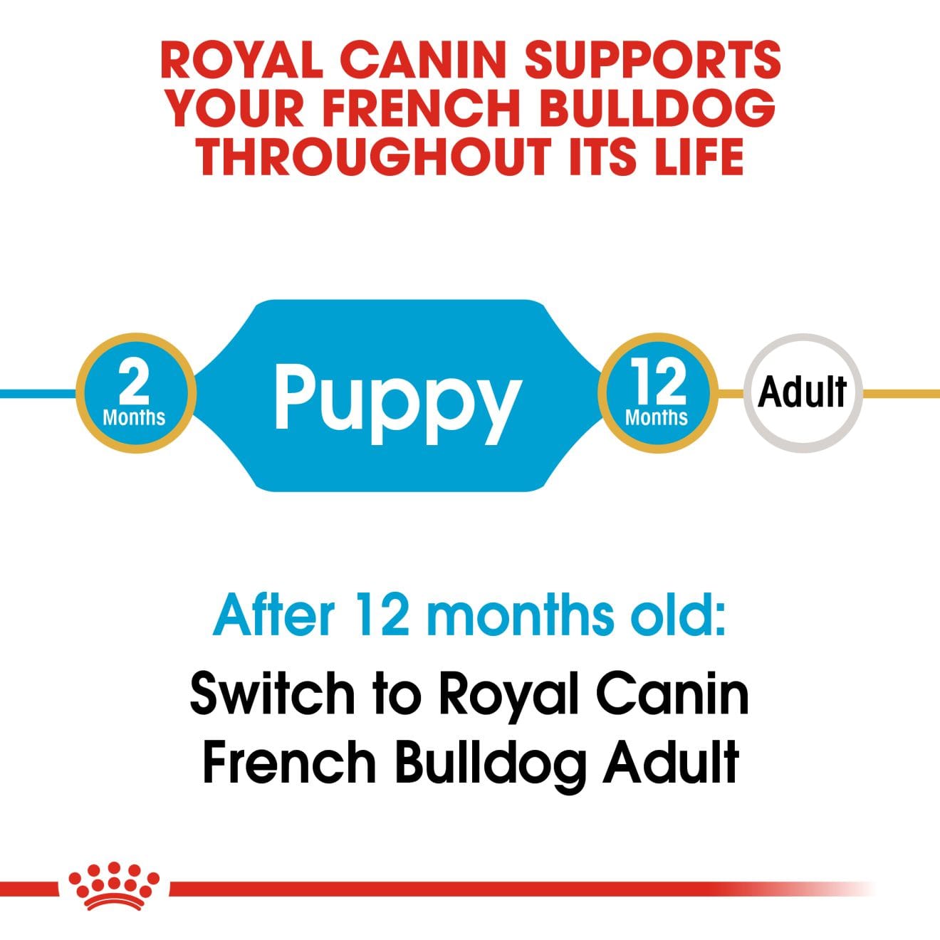 Royal Canin French Bulldog Puppy - Image 2